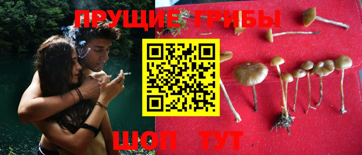 Псилоцибиновые грибы ЛСД Электросталь